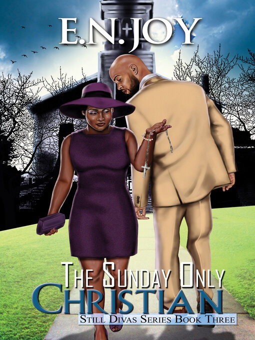 Title details for The Sunday Only Christian by E.N. Joy - Wait list